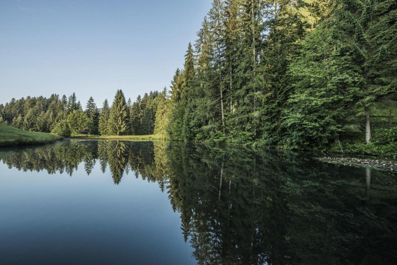 Ferienwohnung Waldglueck Reith bei Kitzbuehel Bagian luar foto
